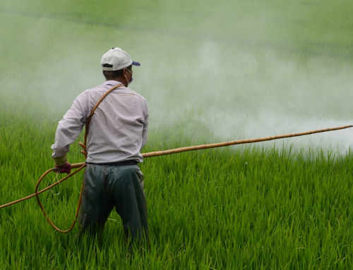 Pesticide reduction in the UK? Some lessons from South Asia
